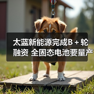 太蓝新能源完成B+轮融资 全固态电池要量产了(图4) 太蓝新能源完成B+轮融资 全固态电池要量产了(图4)