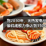 到2030年，光热发电总装机规模力争达到1500万千瓦左右（图4）