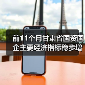 前11个月甘肃省国资国企主要经济指标稳步增长(图3) 前11个月甘肃省国资国企主要经济指标稳步增长(图3)