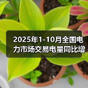 2025年1-10月全国电力市场交易电量同比增长7.9%（图3）