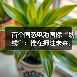 首个固态电池国标“划线”:谁在押注未来,谁在冲刺量产?(图2) 首个固态电池国标“划线”:谁在押注未来,谁在冲刺量产?(图2)