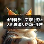 全球首条!宁德时代让人形机器人规模化生产动力电池(图3) 全球首条!宁德时代让人形机器人规模化生产动力电池(图3)