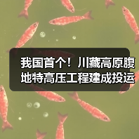 我国首个!川藏高原腹地特高压工程建成投运(图3) 我国首个!川藏高原腹地特高压工程建成投运(图3)