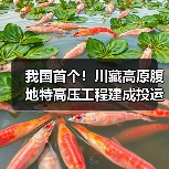 我国首个!川藏高原腹地特高压工程建成投运(图2) 我国首个!川藏高原腹地特高压工程建成投运(图2)
