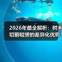 2026年最全解析:树木切割租赁的差异化优势与行业趋势(图2) 2026年最全解析:树木切割租赁的差异化优势与行业趋势(图2)