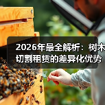 2026年最全解析:树木切割租赁的差异化优势与行业趋势(图3) 2026年最全解析:树木切割租赁的差异化优势与行业趋势(图3)