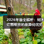 2026年最全解析:树木切割租赁的差异化优势与行业趋势(图1) 2026年最全解析:树木切割租赁的差异化优势与行业趋势(图1)