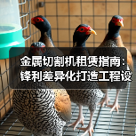 金属切割机租赁指南:锋利差异化打造工程设备新优势(图1) 金属切割机租赁指南:锋利差异化打造工程设备新优势(图1)