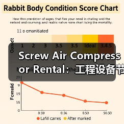 Screw Air Compressor Rental:工程设备节能差异化的秘密武器(图4) Screw Air Compressor Rental:工程设备节能差异化的秘密武器(图4)