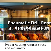 Pneumatic Drill Rental:打破钻孔差异化的行业新格局(图3) Pneumatic Drill Rental:打破钻孔差异化的行业新格局(图3)