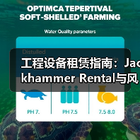 工程设备租赁指南:Jackhammer Rental与风镐租赁的差异解析(图3) 工程设备租赁指南:Jackhammer Rental与风镐租赁的差异解析(图3)