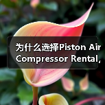 为什么选择Piston Air Compressor Rental，成为工程气动设备租赁的颠覆者？（图1）