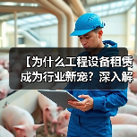 【为什么工程设备租赁成为行业新宠?深入解读风镐租赁的冲击差异化】(图3) 【为什么工程设备租赁成为行业新宠?深入解读风镐租赁的冲击差异化】(图3)
