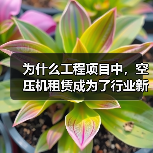 为什么工程项目中,空压机租赁成为了行业新宠?或许你会惊讶地发现,掌握“压力差异化”策略,能让你的工程气动设备租赁迈向新的高峰。让我们用真实案例、行业内幕,为你揭(图4) 为什么工程项目中,空压机租赁成为了行业新宠?或许你会惊讶地发现,掌握“压力差异化”策略,能让你的工程气动设备租赁迈向新的高峰。让我们用真实案例、行业内幕,为你揭(图4)