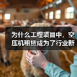 为什么工程项目中,空压机租赁成为了行业新宠?或许你会惊讶地发现,掌握“压力差异化”策略,能让你的工程气动设备租赁迈向新的高峰。让我们用真实案例、行业内幕,为你揭(图1) 为什么工程项目中,空压机租赁成为了行业新宠?或许你会惊讶地发现,掌握“压力差异化”策略,能让你的工程气动设备租赁迈向新的高峰。让我们用真实案例、行业内幕,为你揭(图1)