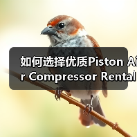 如何选择优质Piston Air Compressor Rental服务实现工程设备气动差异化(图3) 如何选择优质Piston Air Compressor Rental服务实现工程设备气动差异化(图3)