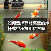 如何选择节能高效的螺杆式空压机租赁方案(图4) 如何选择节能高效的螺杆式空压机租赁方案(图4)