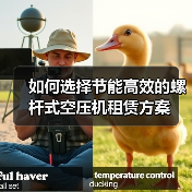 如何选择节能高效的螺杆式空压机租赁方案(图2) 如何选择节能高效的螺杆式空压机租赁方案(图2)