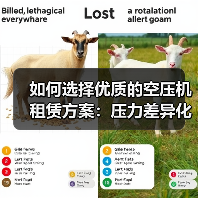 如何选择优质的空压机租赁方案:压力差异化背后的秘密(图4) 如何选择优质的空压机租赁方案:压力差异化背后的秘密(图4)