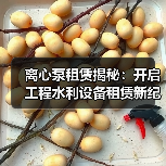 离心泵租赁揭秘:开启工程水利设备租赁新纪元(图3) 离心泵租赁揭秘:开启工程水利设备租赁新纪元(图3)