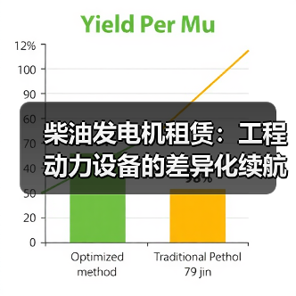 柴油发电机租赁:工程动力设备的差异化续航新策略(图3) 柴油发电机租赁:工程动力设备的差异化续航新策略(图3)