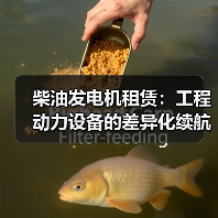 柴油发电机租赁:工程动力设备的差异化续航新策略(图4) 柴油发电机租赁:工程动力设备的差异化续航新策略(图4)