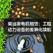柴油发电机租赁:工程动力设备的差异化续航新策略(图2) 柴油发电机租赁:工程动力设备的差异化续航新策略(图2)