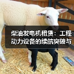 柴油发电机租赁:工程动力设备的续航突破与差异化策略(图2) 柴油发电机租赁:工程动力设备的续航突破与差异化策略(图2)