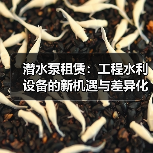 潜水泵租赁：工程水利设备的新机遇与差异化竞争（图1）