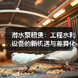 潜水泵租赁：工程水利设备的新机遇与差异化竞争（图4）