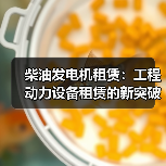 柴油发电机租赁:工程动力设备租赁的新突破与续航差异化(图1) 柴油发电机租赁:工程动力设备租赁的新突破与续航差异化(图1)