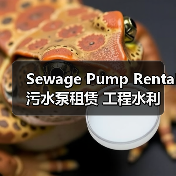 Sewage Pump Rental 污水泵租赁 工程水利设备租赁 防堵差异化(图2) Sewage Pump Rental 污水泵租赁 工程水利设备租赁 防堵差异化(图2)