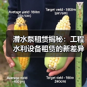潜水泵租赁揭秘:工程水利设备租赁的新差异化突破(图2) 潜水泵租赁揭秘:工程水利设备租赁的新差异化突破(图2)
