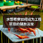 水泵租赁如何成为工程项目的制胜法宝(图2) 水泵租赁如何成为工程项目的制胜法宝(图2)