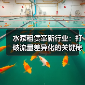 水泵租赁革新行业:打破流量差异化的关键秘密(图1) 水泵租赁革新行业:打破流量差异化的关键秘密(图1)