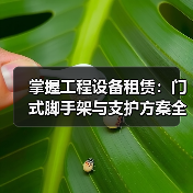 掌握工程设备租赁:门式脚手架与支护方案全指南(图3) 掌握工程设备租赁:门式脚手架与支护方案全指南(图3)