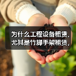 为什么工程设备租赁,尤其是竹脚手架租赁,能成为行业的心头好?这背后隐藏着成本差异化的巨大秘密。或许你还在为繁琐的采购、昂贵的储存费发愁,但实际上,选择正确的租赁(图4) 为什么工程设备租赁,尤其是竹脚手架租赁,能成为行业的心头好?这背后隐藏着成本差异化的巨大秘密。或许你还在为繁琐的采购、昂贵的储存费发愁,但实际上,选择正确的租赁(图4)