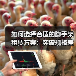 如何选择合适的脚手架租赁方案:突破规格差异化的秘密(图4) 如何选择合适的脚手架租赁方案:突破规格差异化的秘密(图4)