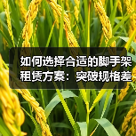 如何选择合适的脚手架租赁方案:突破规格差异化的秘密(图3) 如何选择合适的脚手架租赁方案:突破规格差异化的秘密(图3)