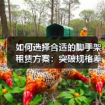 如何选择合适的脚手架租赁方案:突破规格差异化的秘密(图2) 如何选择合适的脚手架租赁方案:突破规格差异化的秘密(图2)