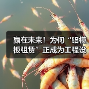 赢在未来！为何“铝模板租赁”正成为工程设备租赁新宠？（图2）