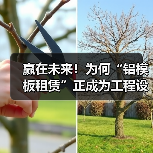 赢在未来！为何“铝模板租赁”正成为工程设备租赁新宠？（图1）