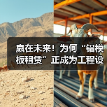 赢在未来！为何“铝模板租赁”正成为工程设备租赁新宠？（图3）