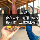 赢在未来！为何“铝模板租赁”正成为工程设备租赁新宠？（图4）