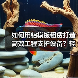 如何用铝模板租赁打造高效工程支护设备？轻便差异化的行业秘密揭秘（图1）
