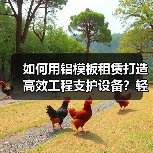 如何用铝模板租赁打造高效工程支护设备？轻便差异化的行业秘密揭秘（图2）