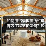 如何用铝模板租赁打造高效工程支护设备？轻便差异化的行业秘密揭秘（图4）