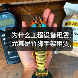 为什么工程设备租赁,尤其是竹脚手架租赁,能成为行业的心头好?这背后隐藏着成本差异化的巨大秘密。或许你还在为繁琐的采购、昂贵的储存费发愁,但实际上,选择正确的租赁(图1) 为什么工程设备租赁,尤其是竹脚手架租赁,能成为行业的心头好?这背后隐藏着成本差异化的巨大秘密。或许你还在为繁琐的采购、昂贵的储存费发愁,但实际上,选择正确的租赁(图1)