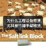 为什么工程设备租赁,尤其是竹脚手架租赁,能成为行业的心头好?这背后隐藏着成本差异化的巨大秘密。或许你还在为繁琐的采购、昂贵的储存费发愁,但实际上,选择正确的租赁(图3) 为什么工程设备租赁,尤其是竹脚手架租赁,能成为行业的心头好?这背后隐藏着成本差异化的巨大秘密。或许你还在为繁琐的采购、昂贵的储存费发愁,但实际上,选择正确的租赁(图3)