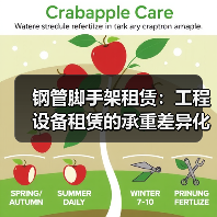 钢管脚手架租赁:工程设备租赁的承重差异化新突破(图1) 钢管脚手架租赁:工程设备租赁的承重差异化新突破(图1)